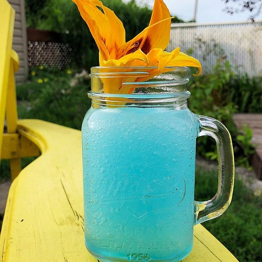 Slush Bleue à la Vodka - Ma Vie Simplifiee